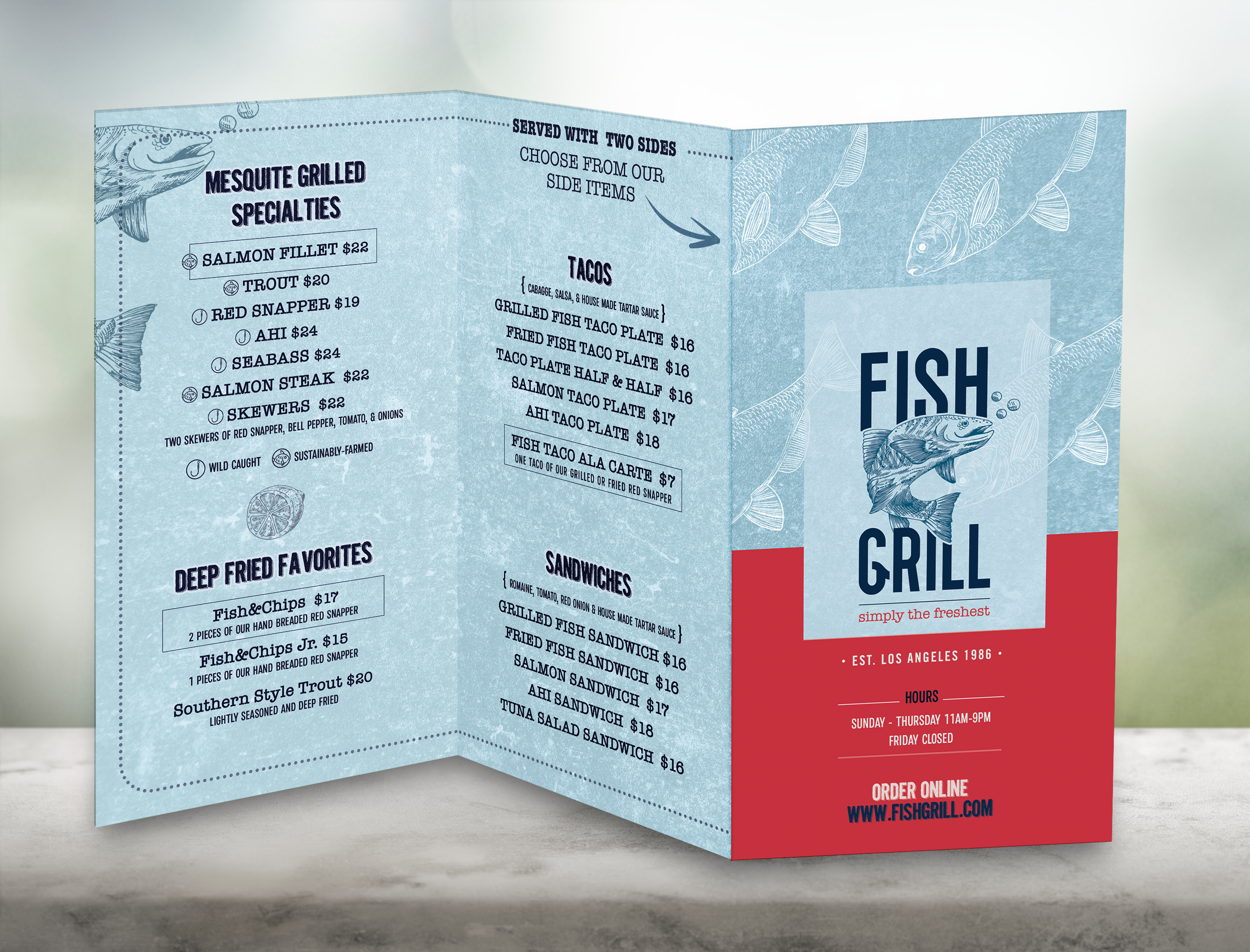 Fish Grill 02